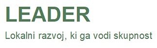 Leader.jpg